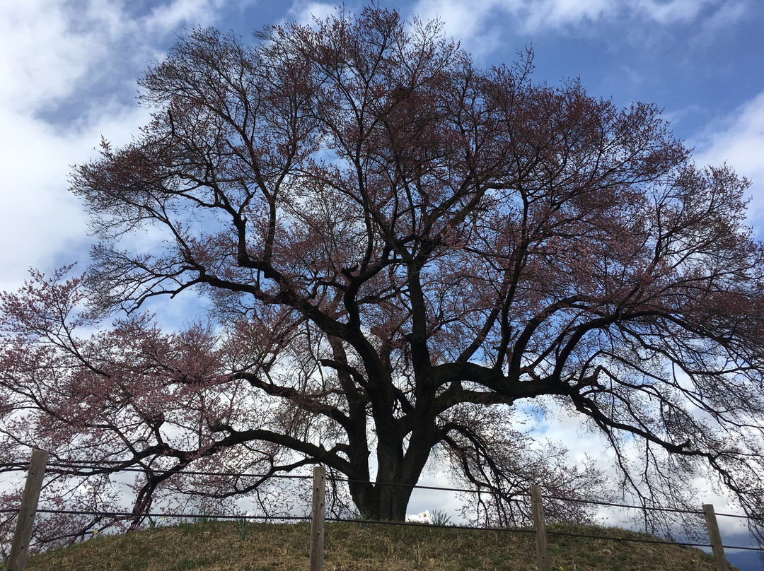 Wanitsuka景点图片