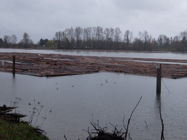 Fraser Foreshore Park-本那比必去景点