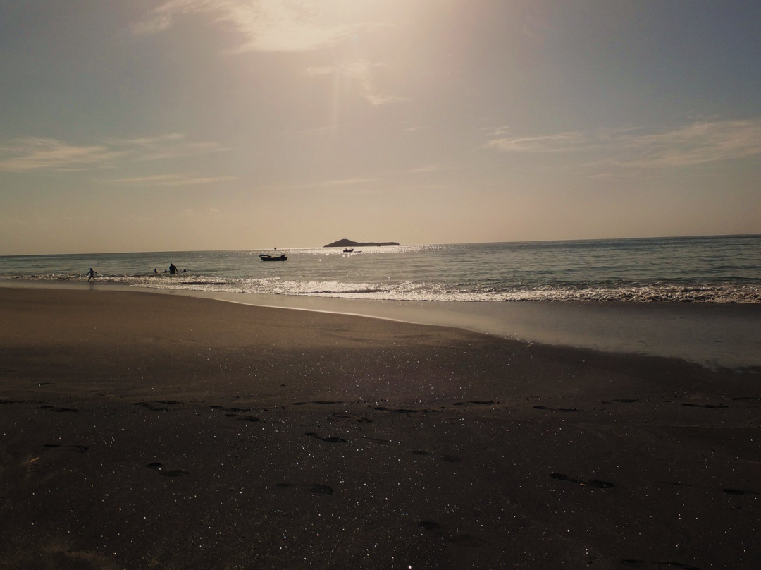Palmer Beach景点图片
