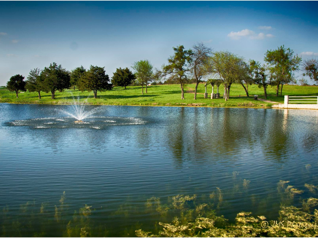 Bluebonnet Park-恩尼斯必去景点