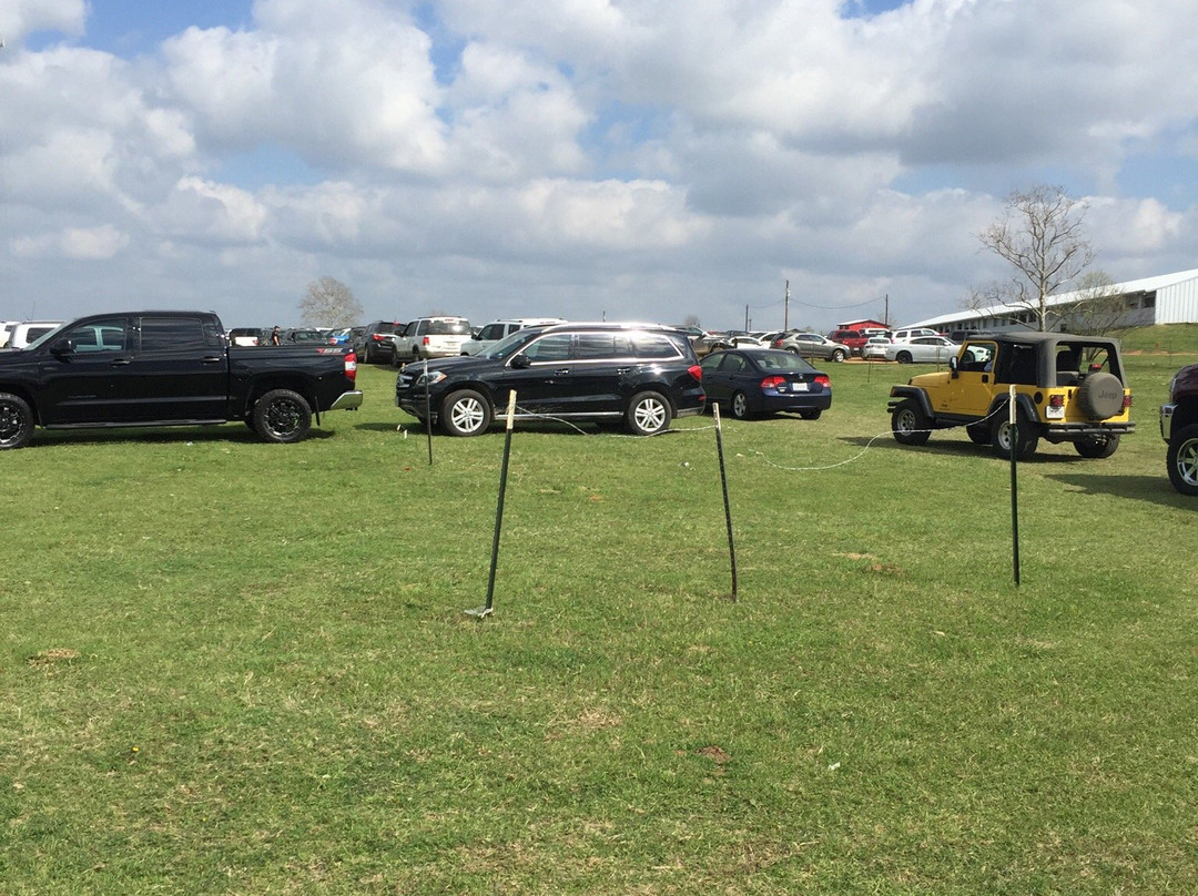 Fredricksburg Trade Days-弗雷德里克斯堡必去景点