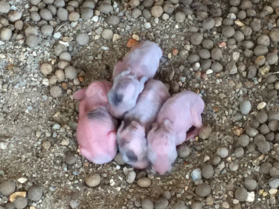 Bilut Extreme Park-文冬必去景点