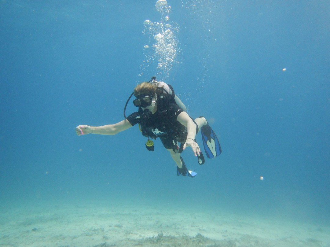 Neptune Scuba Diving-查龙必去景点