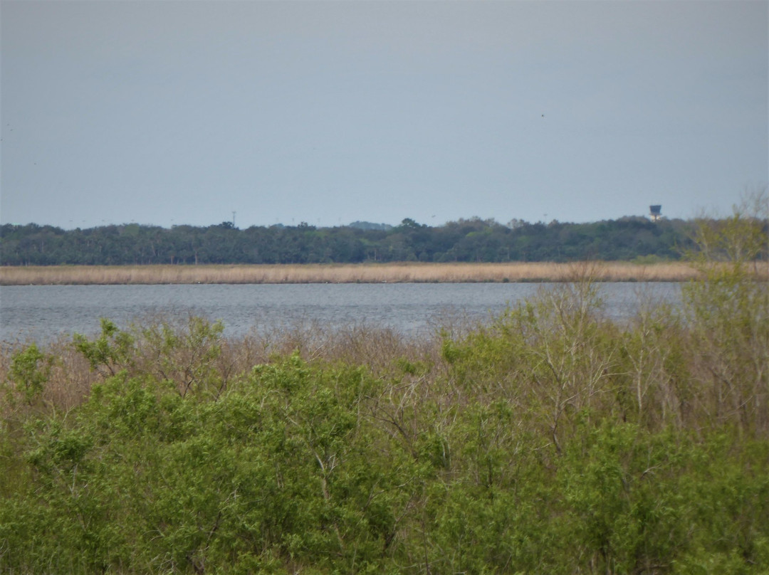 Lake Jesup Conservation Area-Oviedo必去景点