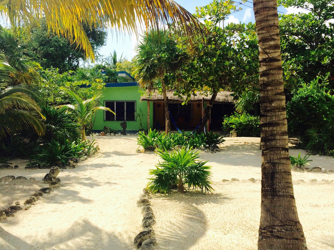 Punta Allen酒店住宿-The Ascension Bay Bed and Breakfast