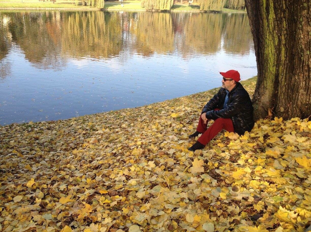 Park Miejski im. Franciszka Kachla景点图片