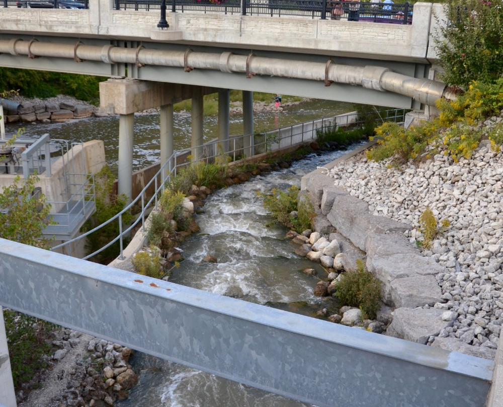 The Fishway-Thornbury必去景点