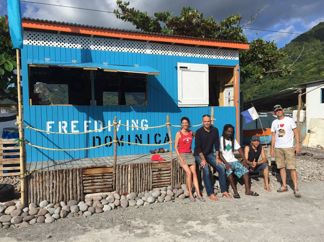 Jeff's Water Sports & Healing-Scotts Head必去景点