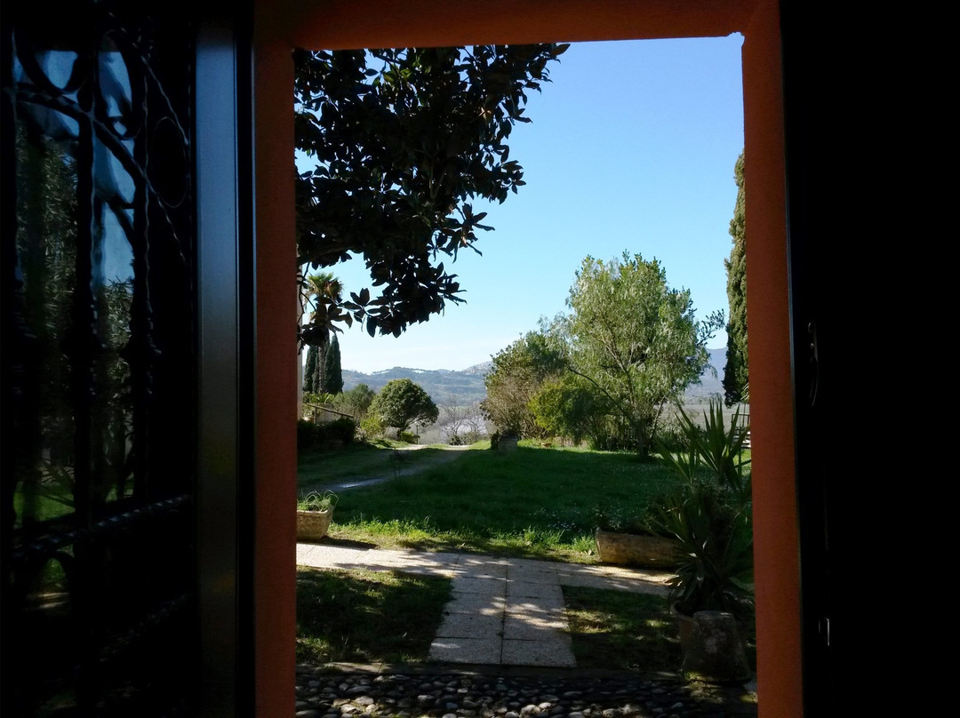 Agriturismo Stella e il Grillo主图