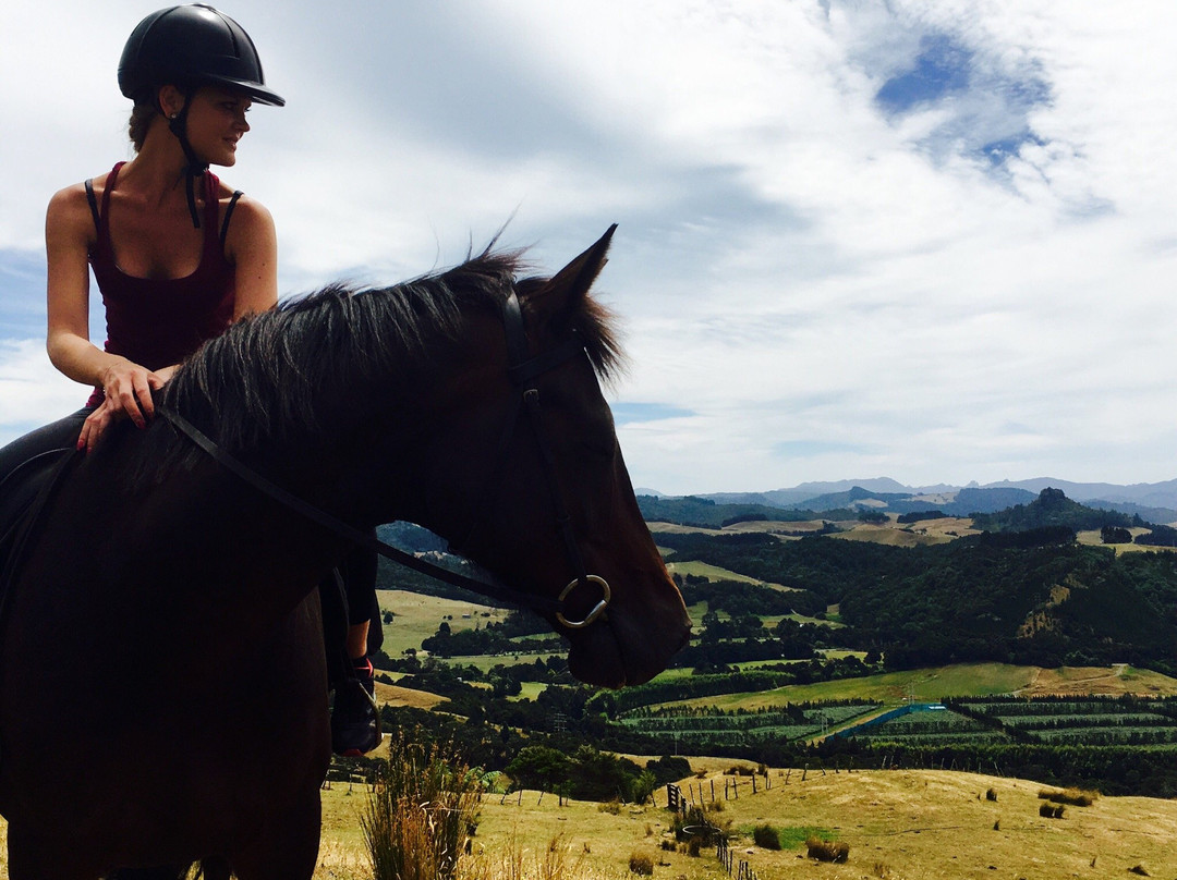 Rangihau Ranch-Coroglen必去景点