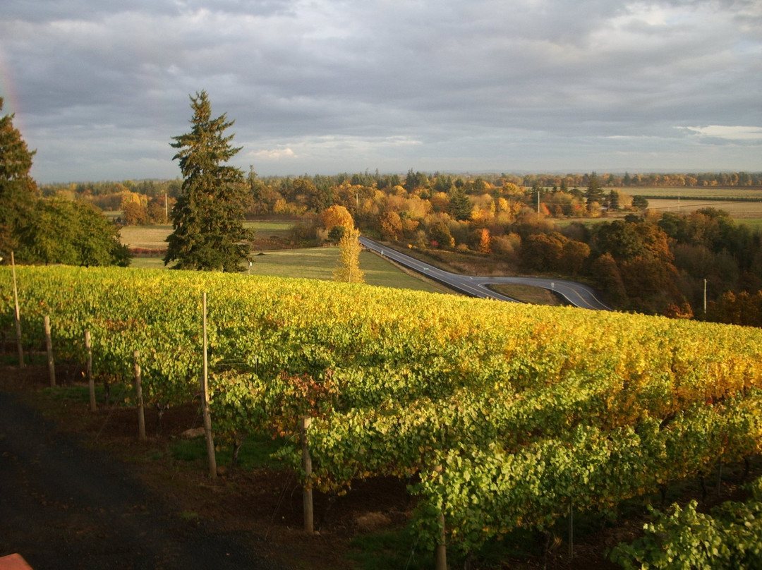 Stangeland Vineyards-塞勒姆必去景点