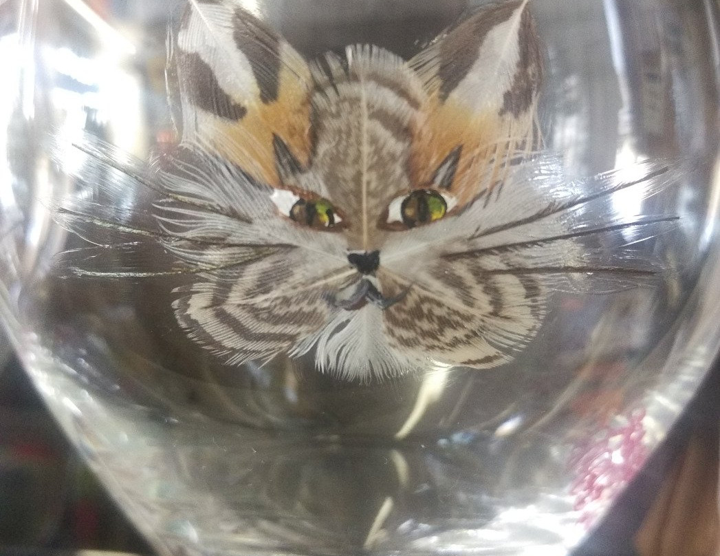 Palisade Discs & Gifts-Palisade必去景点