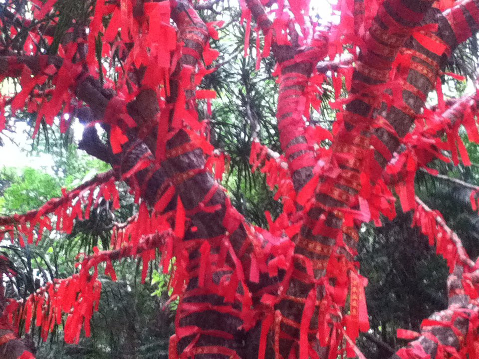 蝴蝶谷-三亚市必去景点