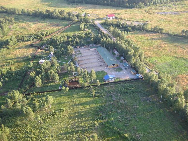 Ostrich Farm Strausiny Khutor景点图片