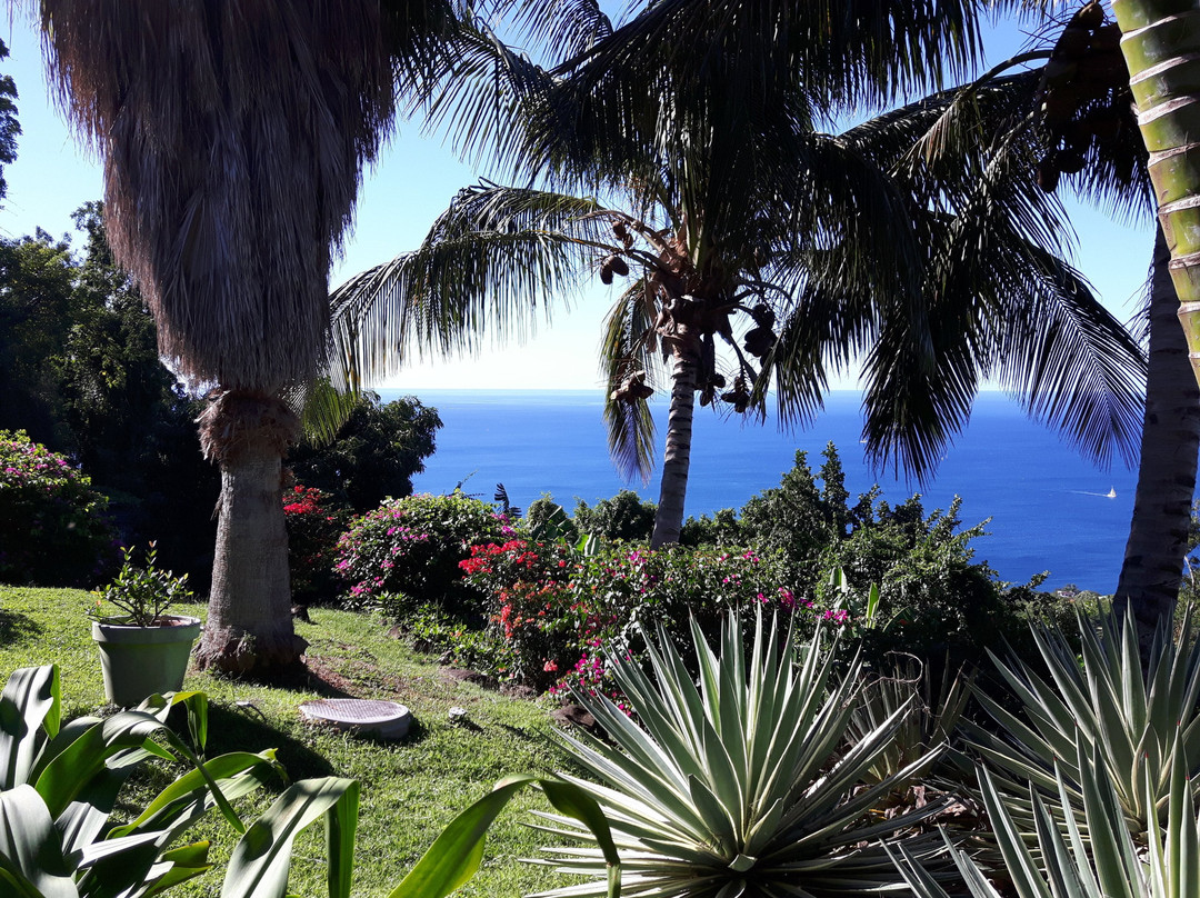 Villa Rose Caraibes主图