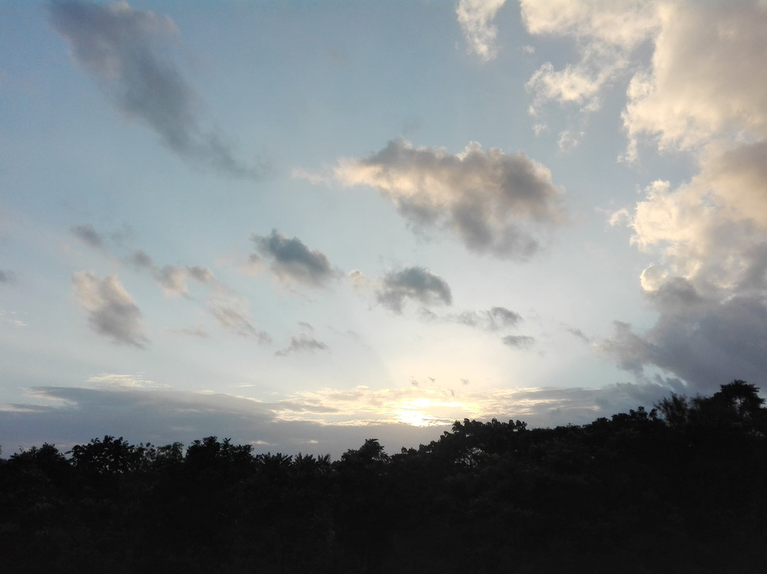 Kanjaripuzha Dam-Palakkad必去景点