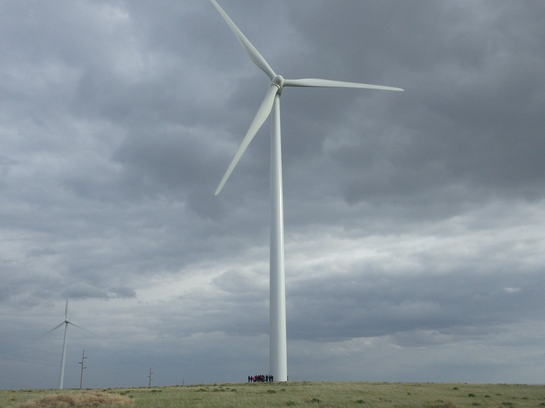 Glacier Wind Farm-Shelby必去景点