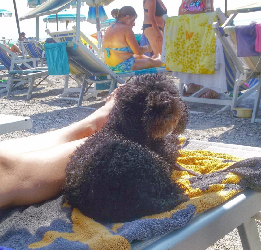 Spiaggia Ex Soggiorno Leonessa