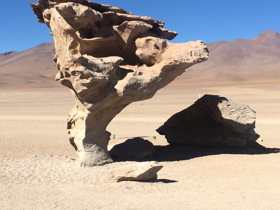 Tonito Tours景点图片