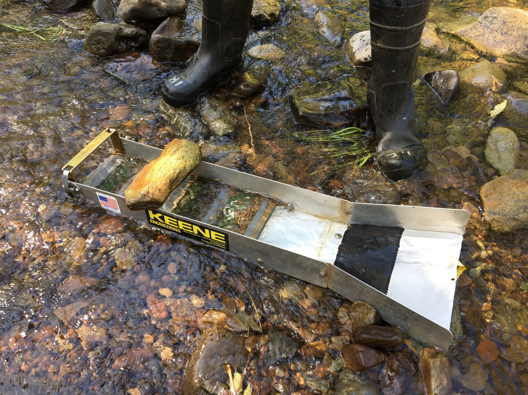 Gold Prospecting Adventures景点图片