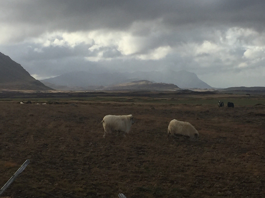 Brugghús Steðja-Hvanneyri必去景点