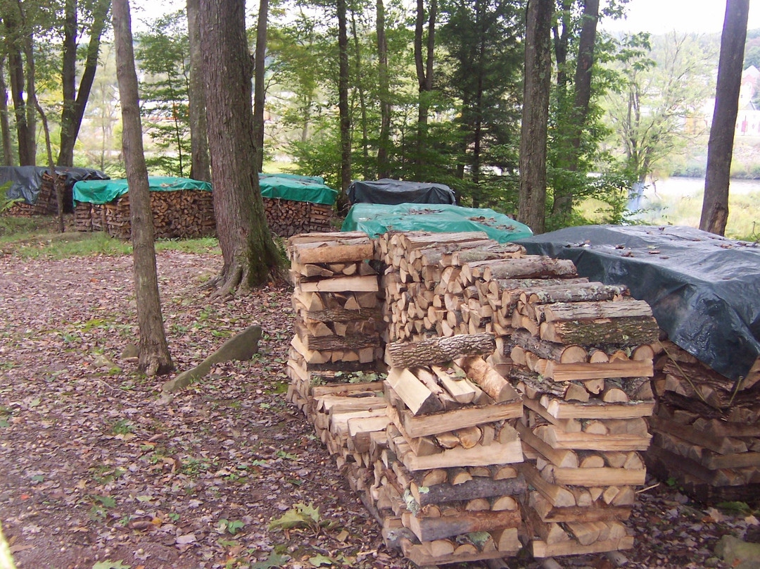 Husky Haven Campground