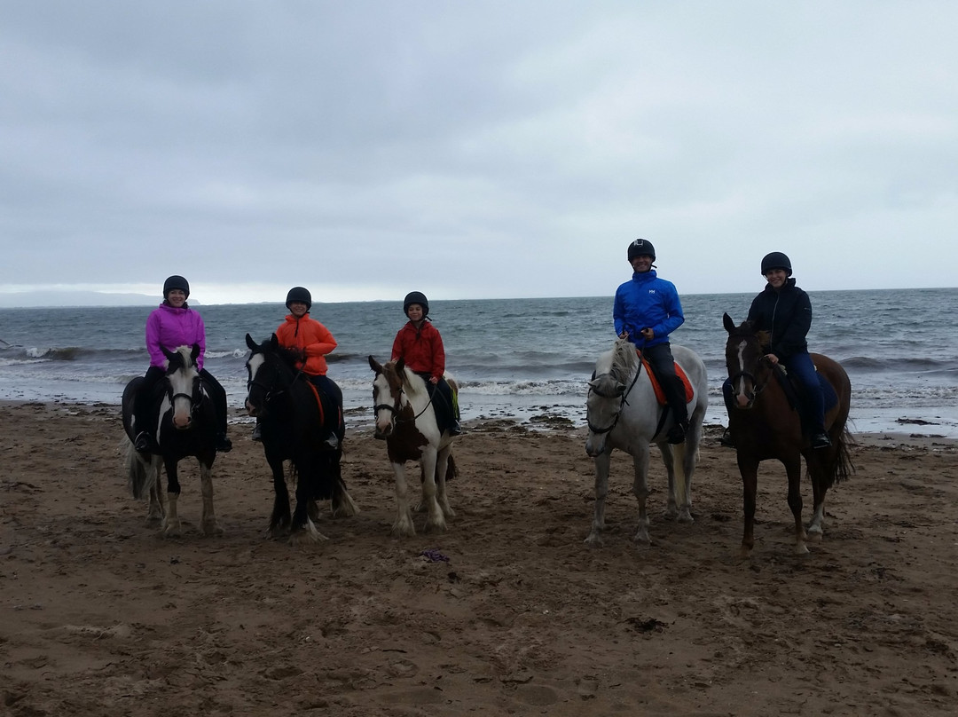 Tralee Equestrian Centre-特拉利必去景点