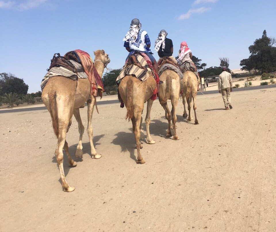 Swakopmund Camel Farm-斯瓦科普蒙德必去景点