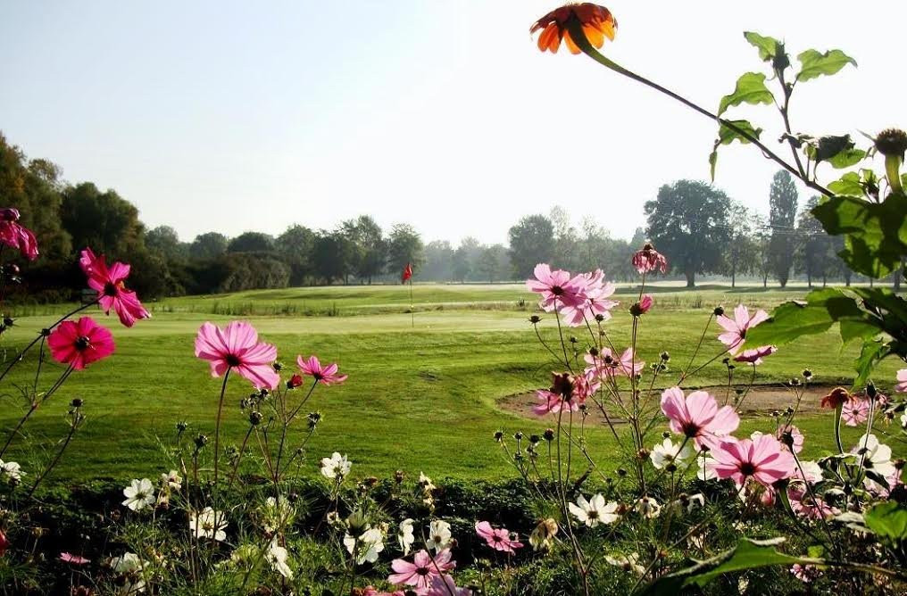 Golf de Sancerre景点图片