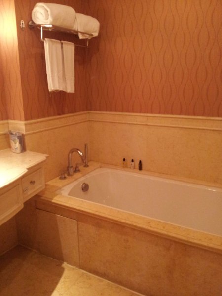 巢湖远洲豪廷大酒店-浴室