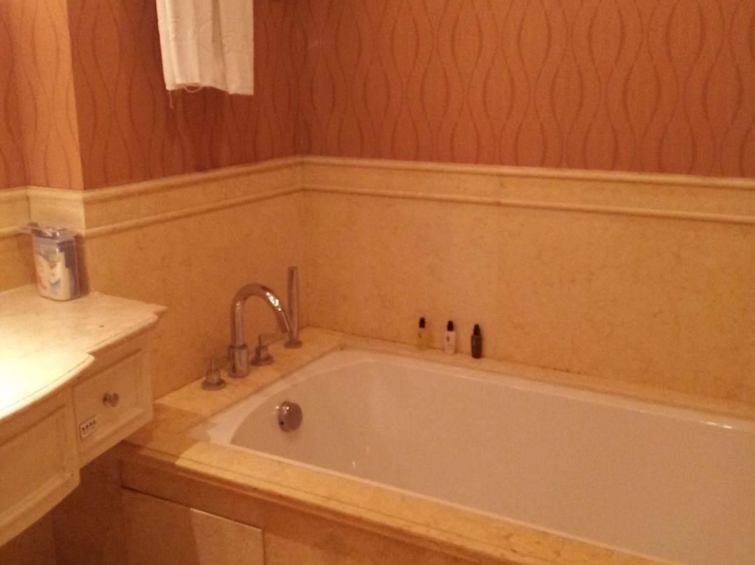 巢湖远洲豪廷大酒店主图