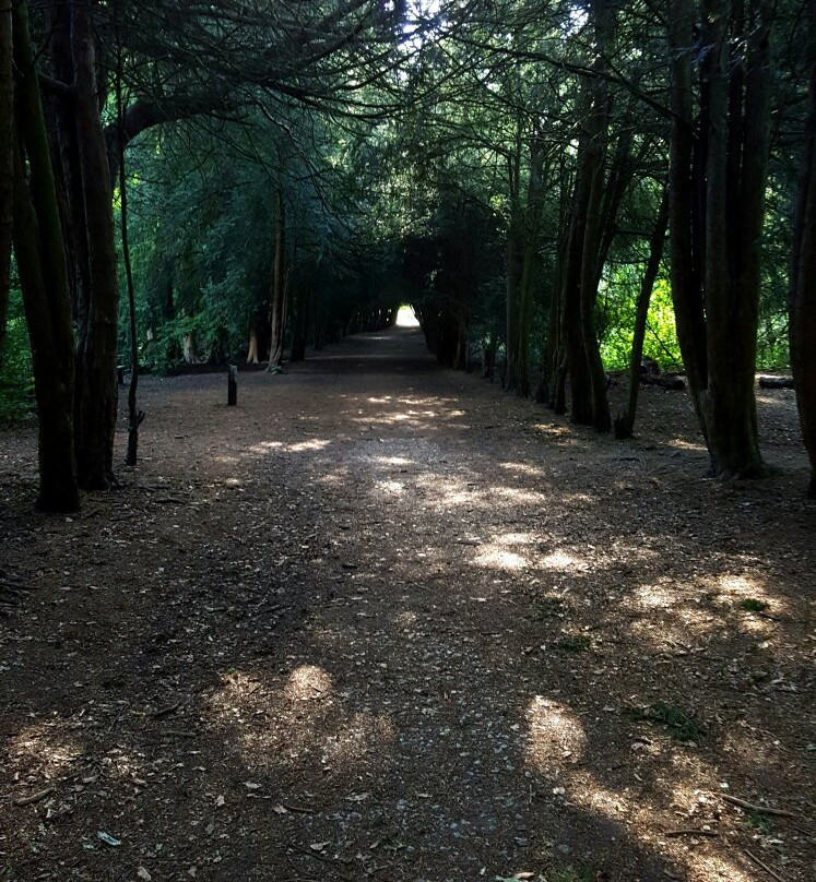 Apley Woods-特尔福德必去景点