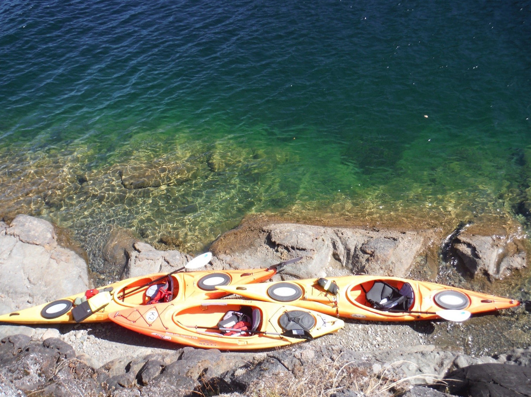 Horne Lake Regional Park Campground