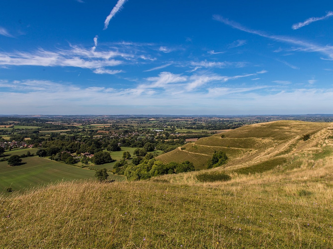 Hambledon Hill景点图片