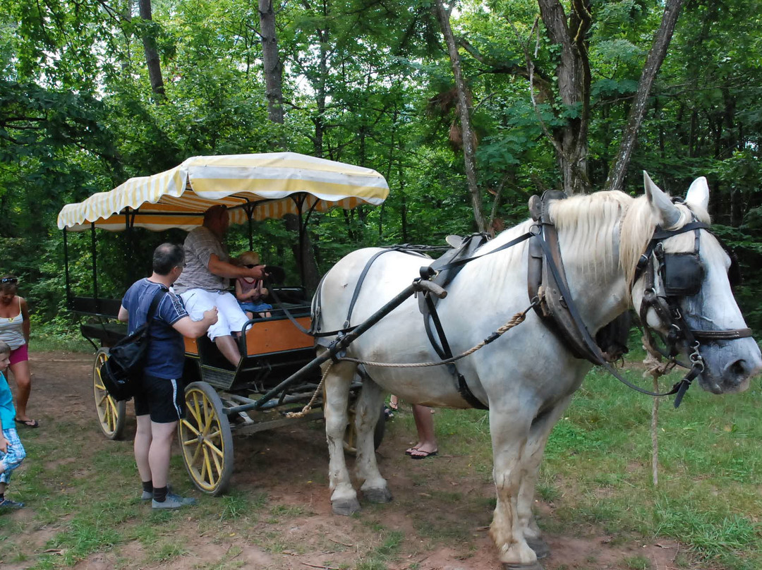 Périgord en Calèche-Mazeyrolles必去景点
