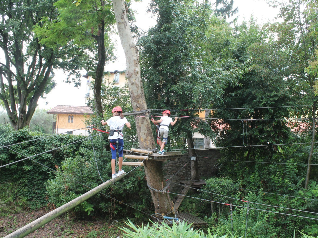 Parco Avventura Rimbalzello Adventure景点图片