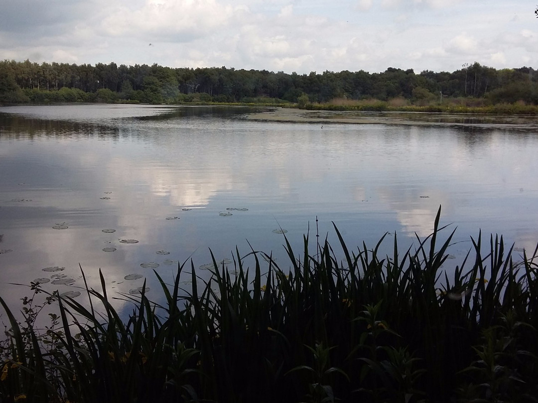 Mere Sands Wood Nature Reserve景点图片