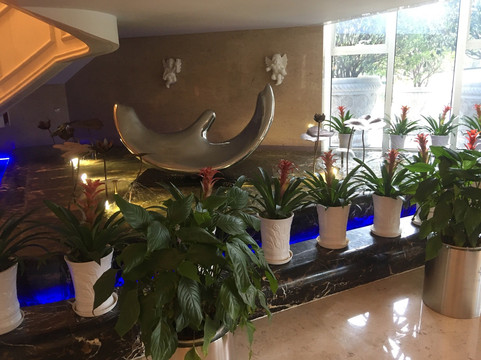 天宇菲尔德国际大酒店（航天大道地铁站金辉广场店）主图