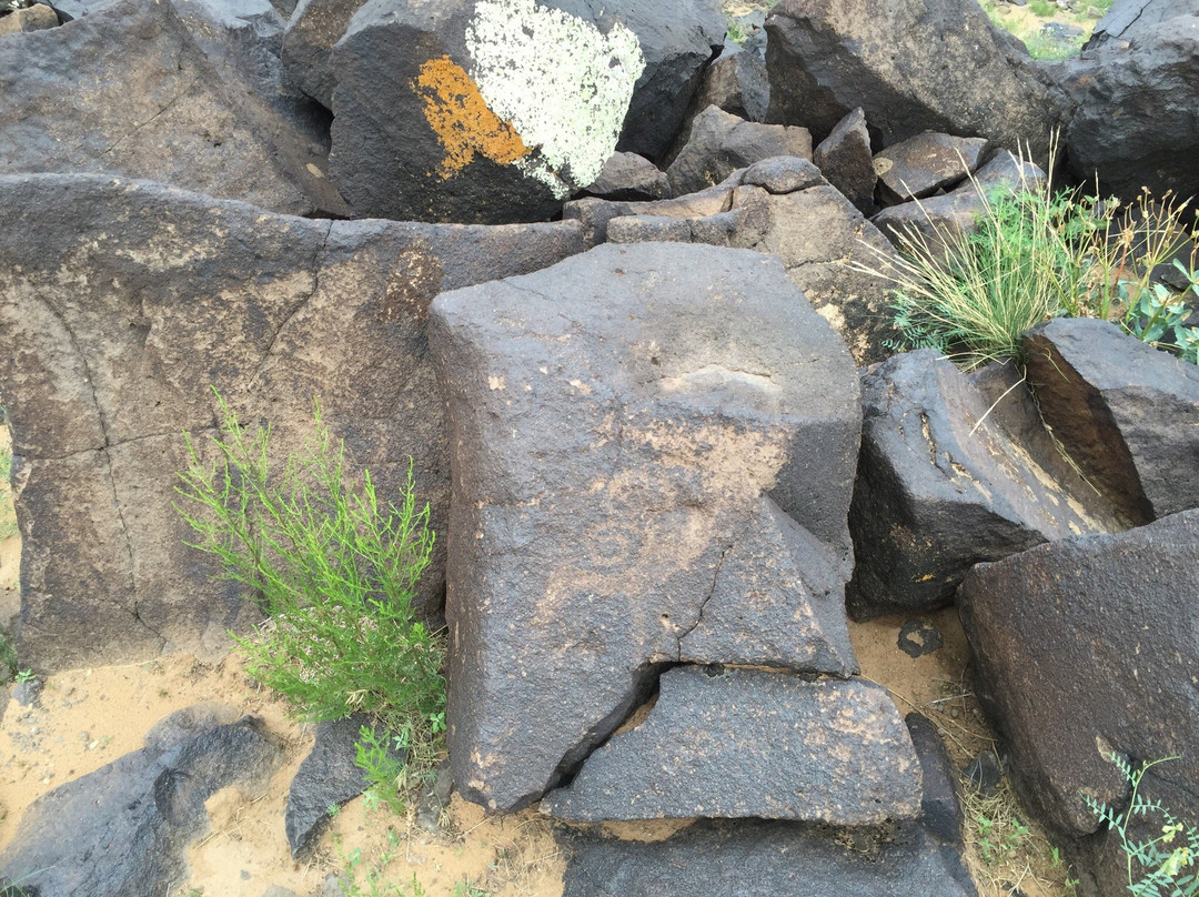 Khavtsgait Petroglyphs-Gobi Gurvansaikhan National Park必去景点
