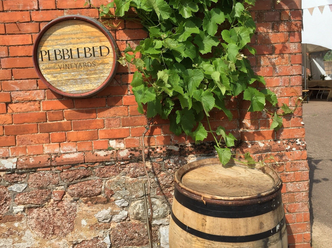 Pebblebed Vineyard-Clyst Saint George必去景点