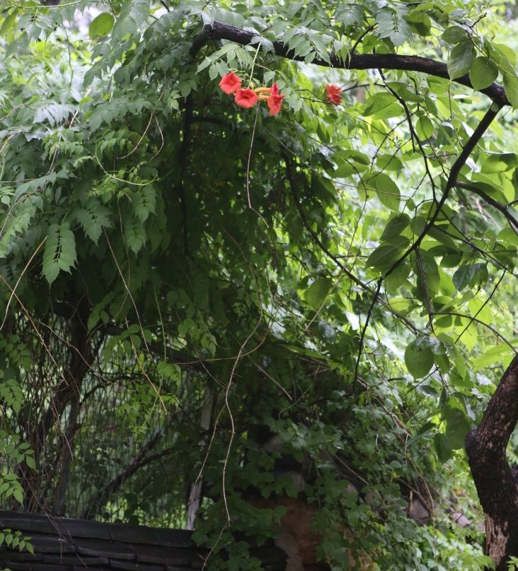 Chunghyeon Museum-光明市必去景点