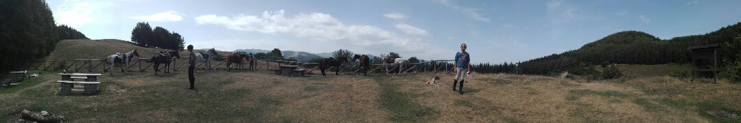 Agriturismo Cavalli di Sparta景点图片