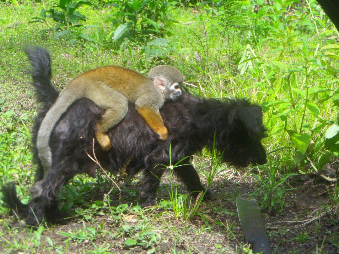 Portal a la Selva-Puyo必去景点