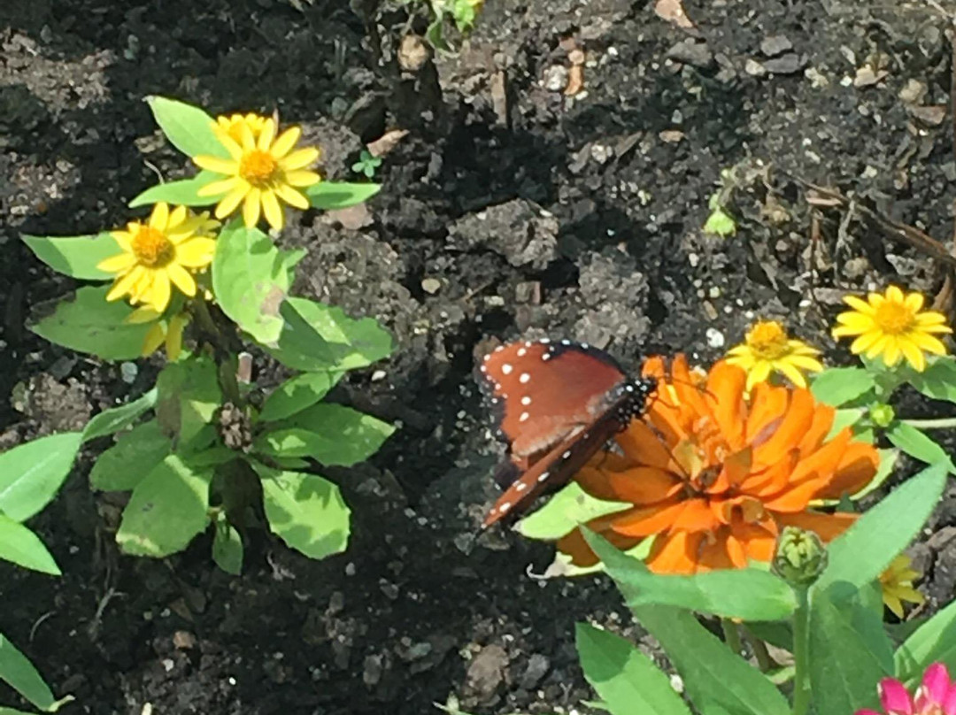 Peck Farm Park-Geneva必去景点