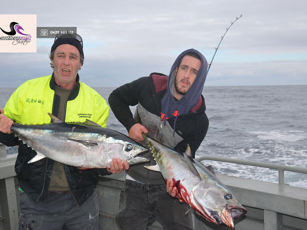Southern Coast Charters-仙女港必去景点