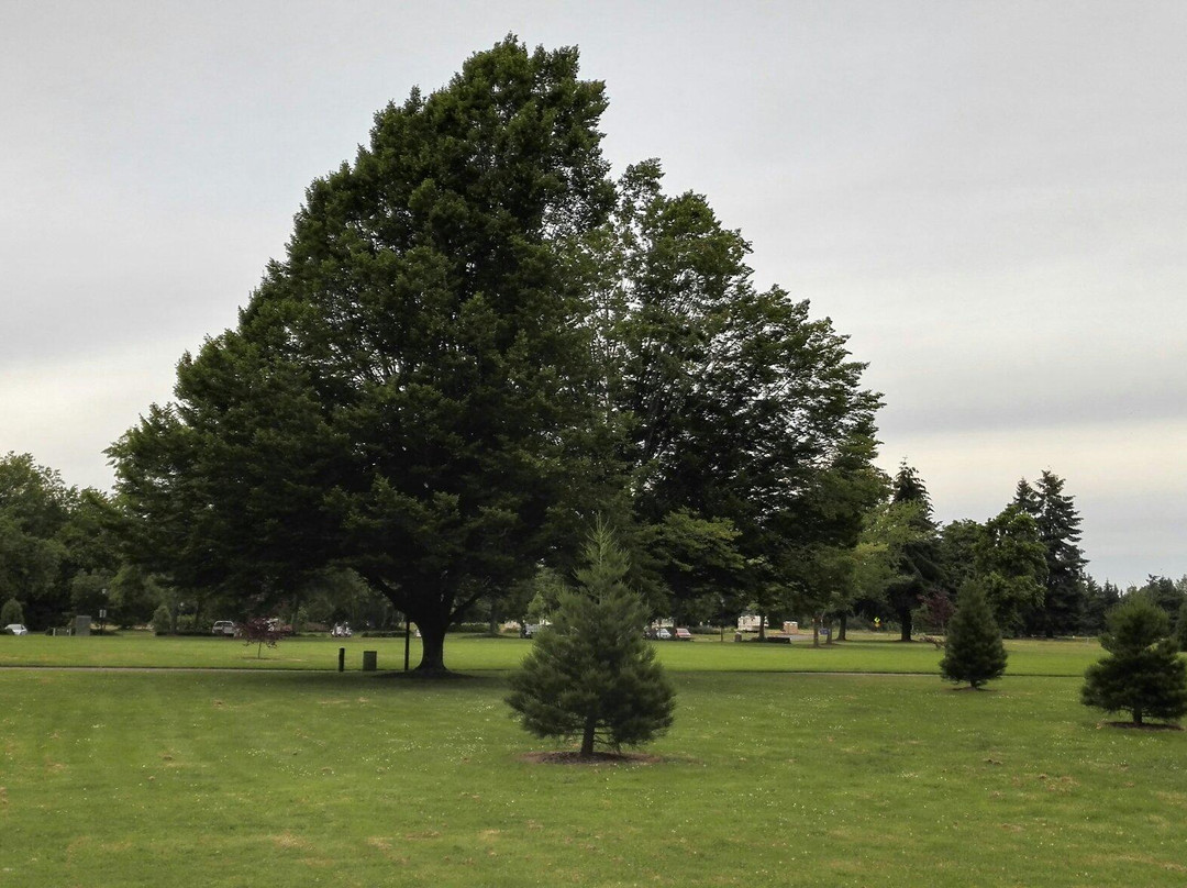 Willamette River-尤金必去景点