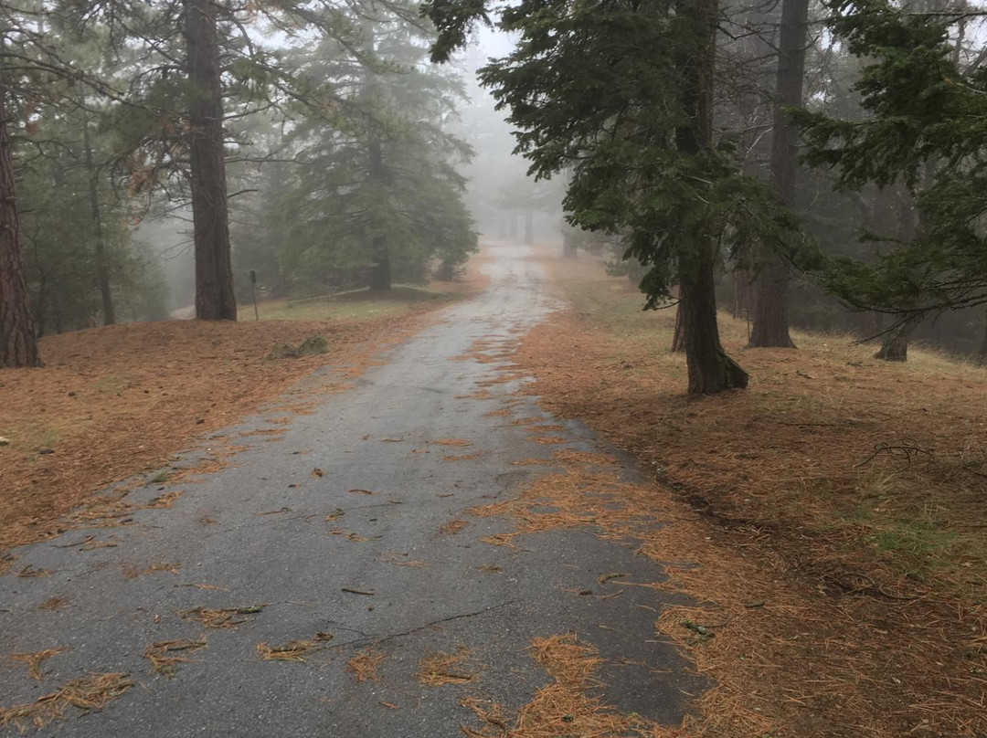 Tehachapi Mountain Park-特哈查比必去景点