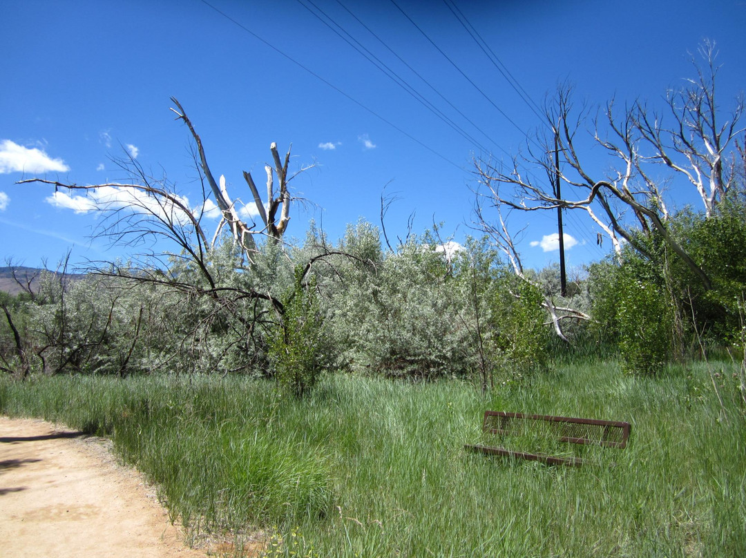 Oxbow Nature Study Area-里诺必去景点