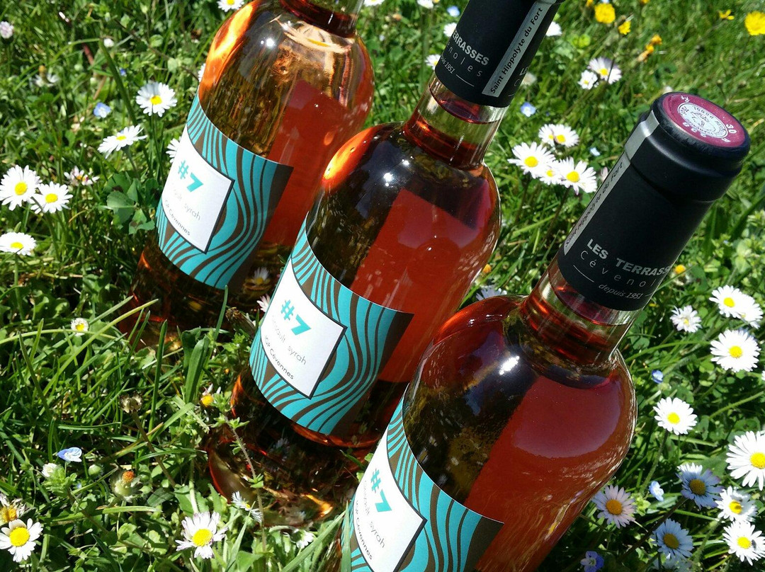 Les Terrasses Cévenoles-Saint-Hippolyte-du-Fort必去景点