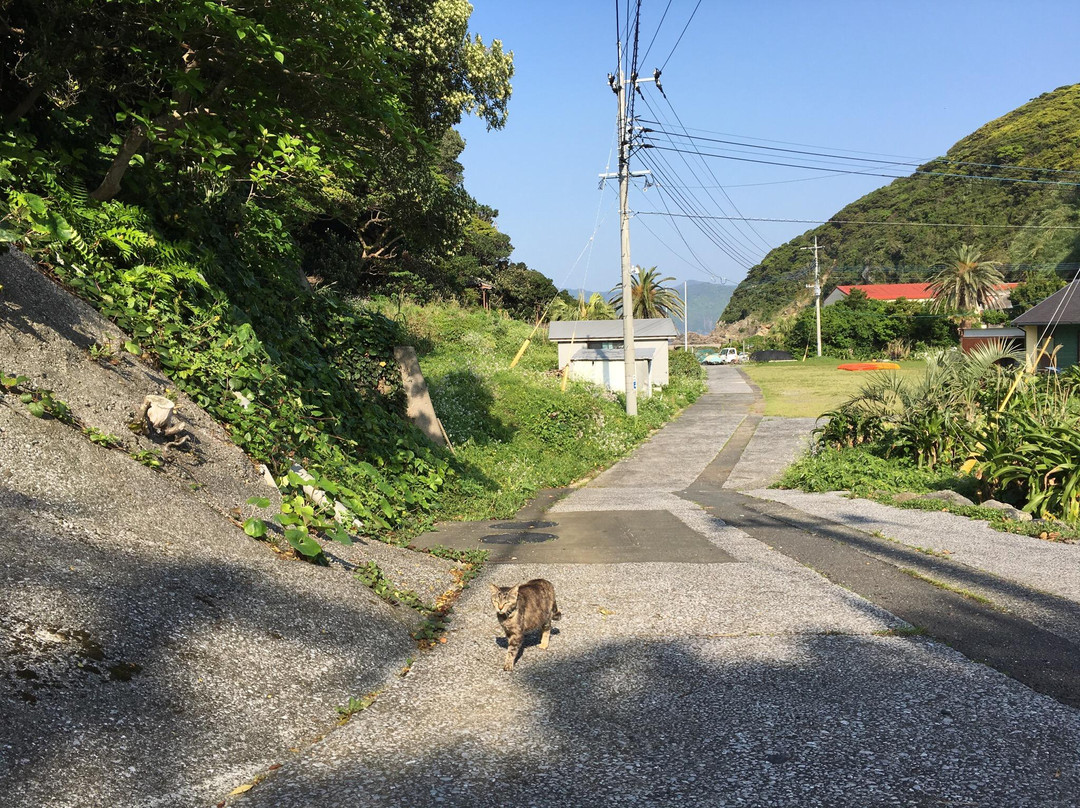 Fukashima Island-佐伯市必去景点